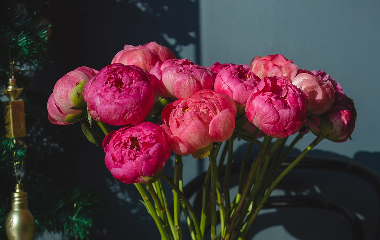 8 хитрощів, щоб півонії довше стояли у вазі